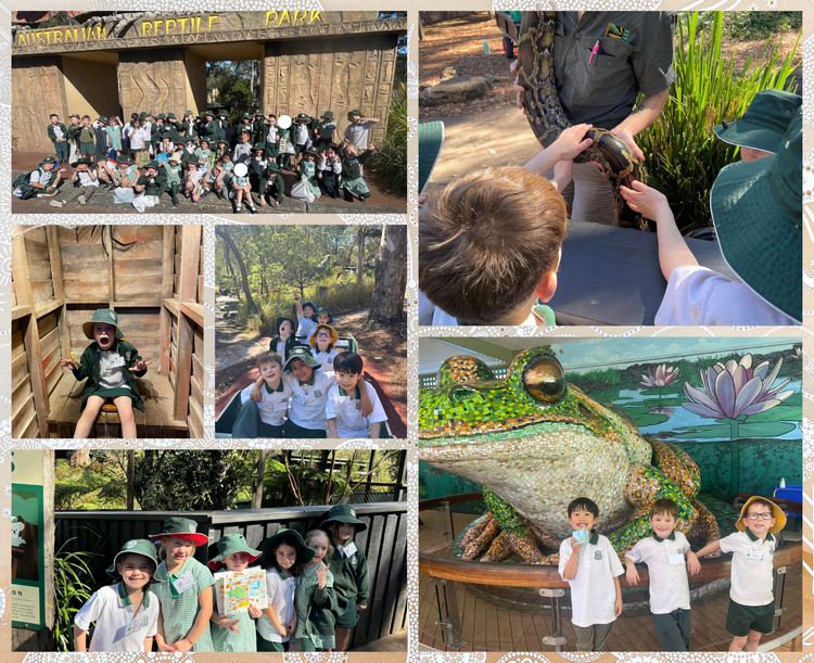 These collages showcase student experiences and activities at Gosford East Public School. One collage features a large group of students on excursion to the Australian Reptile Park, gathered at the entrance and engaging in various hands-on activities such as observing a large snake, exploring interactive exhibits, and posing near a colourful frog sculpture. Other photos depict students working in small groups, reading maps, and participating in outdoor adventures, highlighting their excitement and curiosity during the excursion.